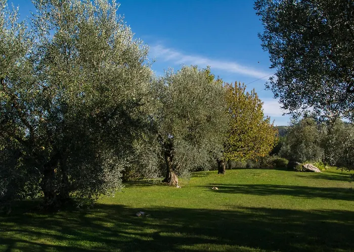 La Sassaia