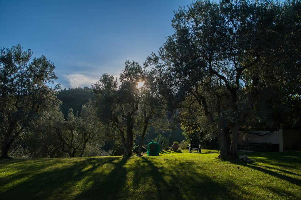 Villa La Sassaia Carmignano