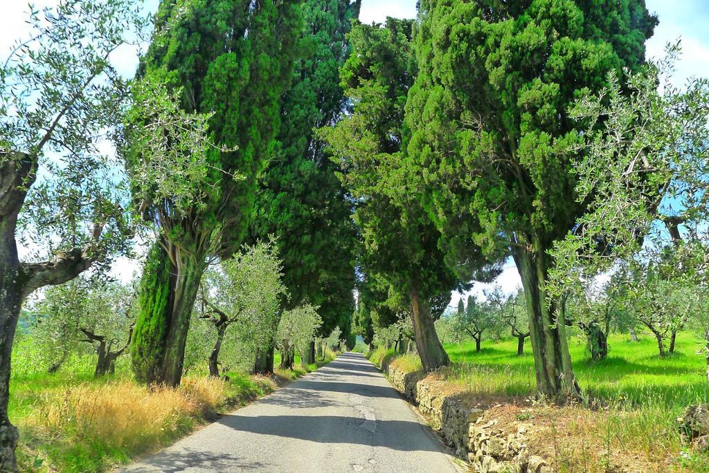 La Sassaia Carmignano