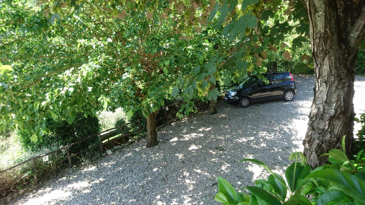 La Sassaia * Carmignano